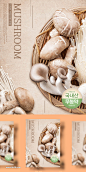 【乐分享】时尚餐厅超市设计美食水果蔬菜PSD素材_平面素材_乐分享-设计共享素材平台 www.lfx20.com