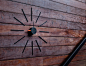 KLOX Urchin Wall Clock