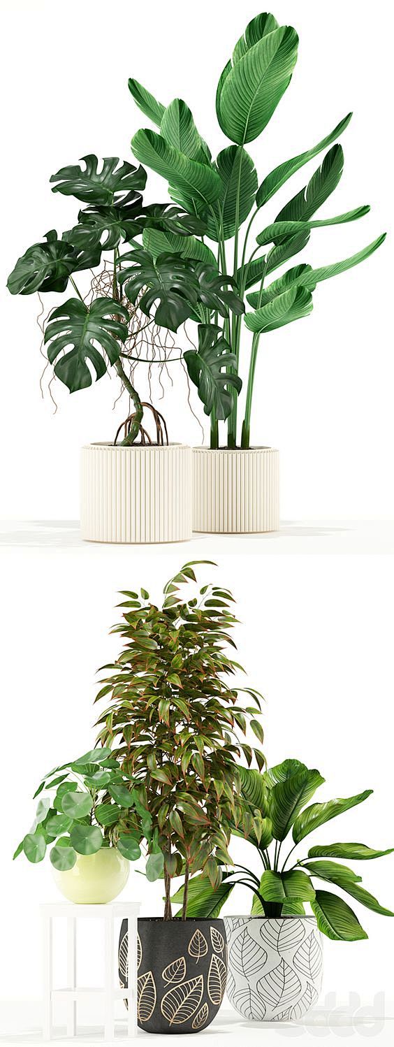 3d модели: Растения ...