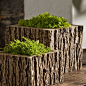 Campania International Mini Low Reef Square Cast Stone Planter Aged Limestone contemporary-outdoor-pots-and-planters