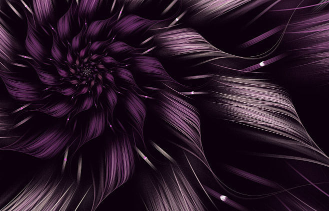 fractal flower by Na...