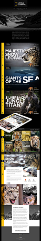 National Geographic - The Endangered Species (Concept) : National Geographic - The Endangered Species Web App Concept. The purpose of this site is to Educate, Raise Awareness and to Take Action in the protection and conservation of different animal specie