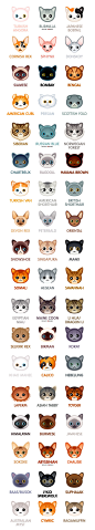 Kawaii cats : Kawaii cat breeds for the Сat-people of the world... Meow =＾● ⋏ ●＾=Don't hesitate to name your loved ones if I missed 'em.