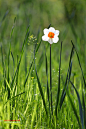 Photograph Fine spring day by LEE INHWAN on 500px