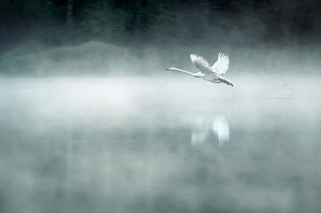 芬兰摄影师 Mikko Lagerste...