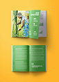annual report Bold Typography colorful publication design print design  NGO nonprofit organization