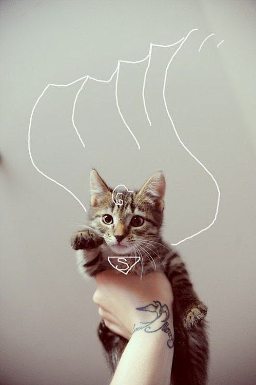 Super cat: 