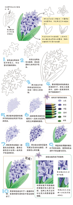 好奇菌路先生采集到绘画.基础