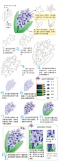 彩铅 水彩 步骤 教程 花 #小清新#