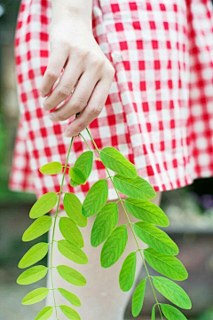 夏朵☂采集到我的孤独是一座花园