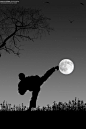 Shoot for the Moon! taekwondo. yop chagi. Martial arts strengthens your character as much as your body.