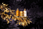 MOLTON BROWN OUDH ACCORD & GOLD : Lux for Molton Brown's Oudh Accord & Gold range.