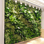 仿真绿植墙植物墙花墙室内绿色背景塑料草皮墙假草坪墙面装饰花草-淘宝网