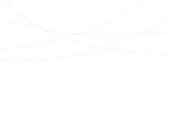 雾Dr采集到素材