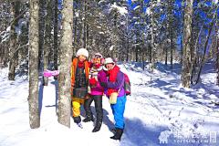 云途旅游采集到【云途旅游】东北雪乡、红叶谷站