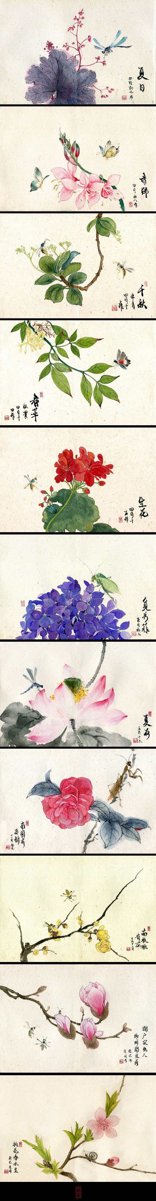 觅芳菲——桃花春水生