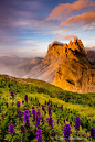 Colore di Italia Dolomites, Italy by Dan Ballard