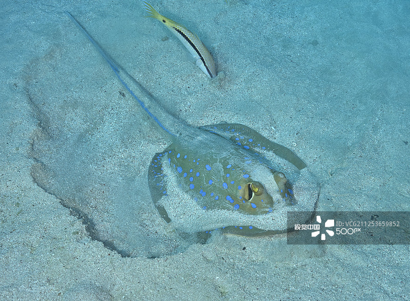 f9e6a14375805d26b74282081210cd9ba0fb838c44c3a-8KuDxw