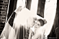 欧式婚纱照照片-欧式婚纱照图片-欧式婚纱照素材