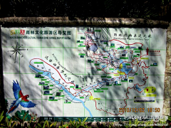 Longsifeng采集到旅游_呀诺达雨林文化旅