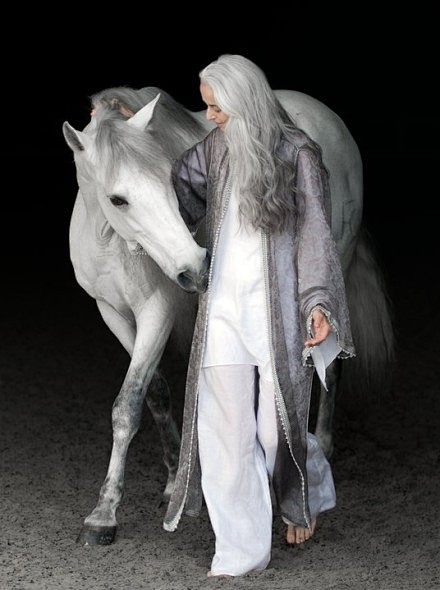 一头银发，一身青衣，一匹白马。
