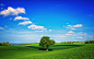 field_tree_landscape_81134_3840x2400.jpg (3840×2400)