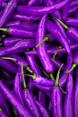 紫色辣椒