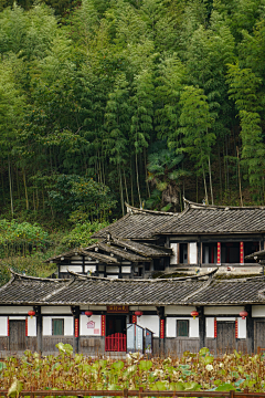 楼惊霄采集到风景参考