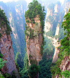 繍織采集到景