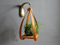 Modern Bentwood Hanging Plant Stand