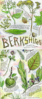Tommy Kane's Art Blog: Berkshires: 
