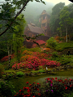 遗落の城づ采集到风景