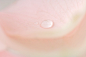 概念,图像,摄影,构图,视角_78311418_Drop on pink petal, extreme close-up_创意图片_Getty Images China