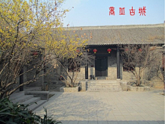 Yqy110采集到乐途旅游网