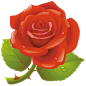 盛开的玫瑰花图标