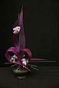 1st place and Colleen Fernie Trophy, Sharon Benton, Hibiscus Coast Floral Art Club: 