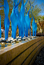 Chihuly glass at the Desert Botanical Gardens. | Photo by http://melissaesplin.com/: 