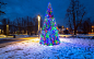 General 2560x1600 holiday fir Christmas christmas lights nature snow