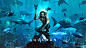 People 3840x2160 Aquaman Jason Momoa War boss Justice League shark Hero of Antiquity