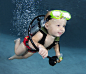 酷摄影：水下婴儿
