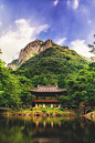 Baegyangsa Temple, South Korea | Aaron Choi