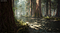 UE4 Redwood Forest V2, Willi Hammes : Updated version of the procedural giant sequoia forest in Unreal Engine 4. All assets where create from scratch using photogrammetry and lots of love in 3ds max and Photoshop. The Pack is now available via the Epic Ma