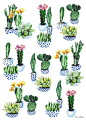 Cactus poster - by Cristina Caramida