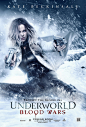 Underworld: Blood Wars 黑夜传说5：血战