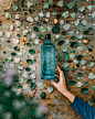 Bombay Sapphire | Roots