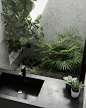 CGI-plant bathroom
