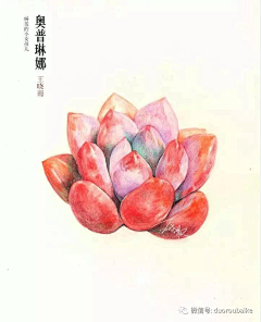 yunxi159采集到彩铅画