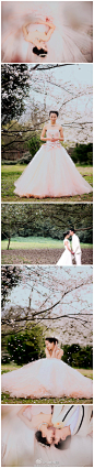#T1婚纱摄影客照# 外景要拍樱花的新娘们不妨试试这件粉色婚纱，和淡淡的樱花相互映衬，照片顿时唯美好多~~~感谢美丽的新娘，帅气的新郎。摄影师@空白CD （小邢老师）