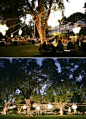 Backyard wedding Love lights wrapped around trees