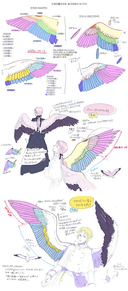 【讲座】精选10种翅膀画法【翅膀的结构、...